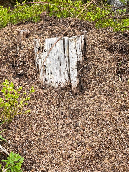 23-04-30 10-49-39 5230.jpeg